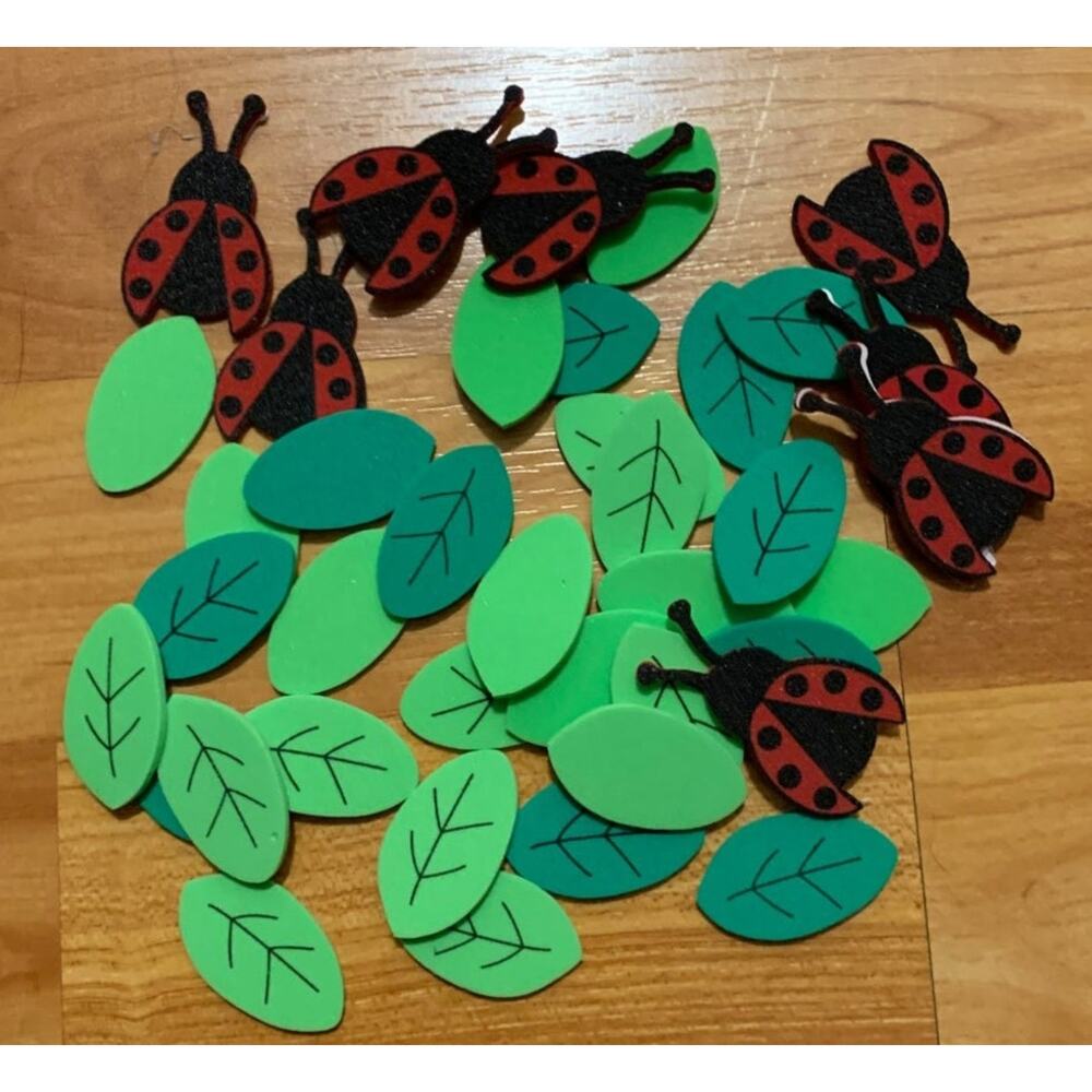 Bag of leaves and ladybugs